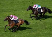 Ascot 3.5.23