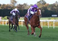 LEOPARDSTOWN