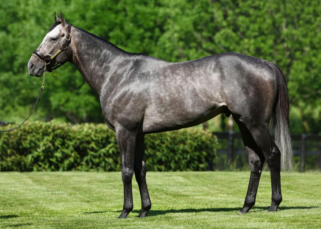 Arrogate-Conformation