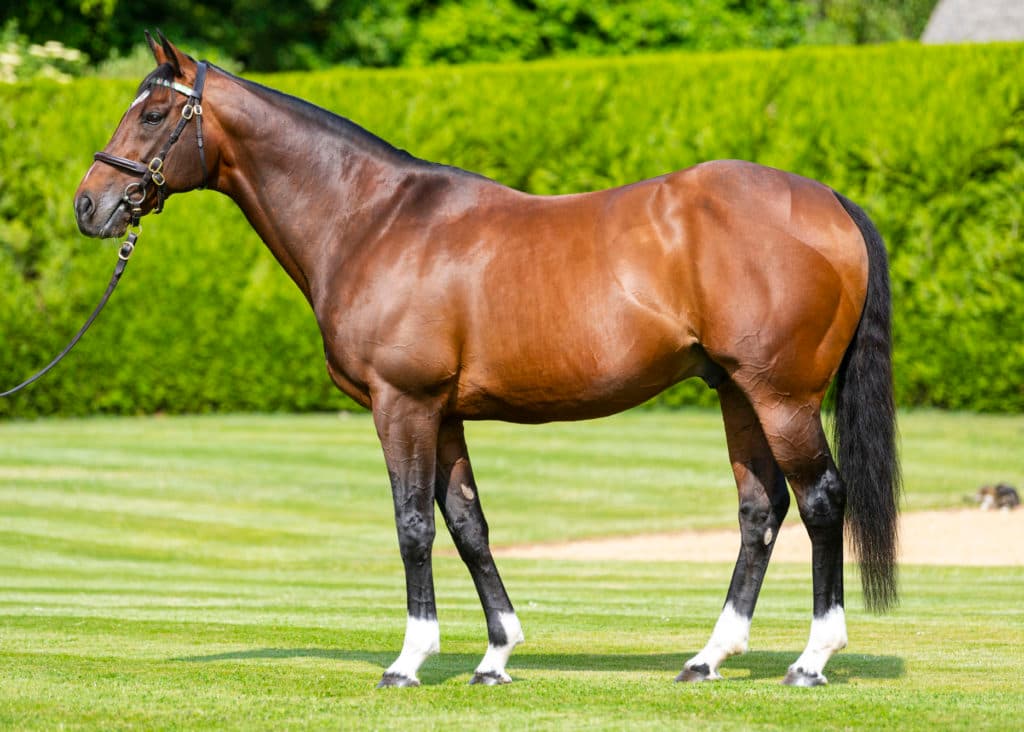 Banstead Manor Stud.  Juddmonte Farms, England.  Tuesday 4 June 2019.