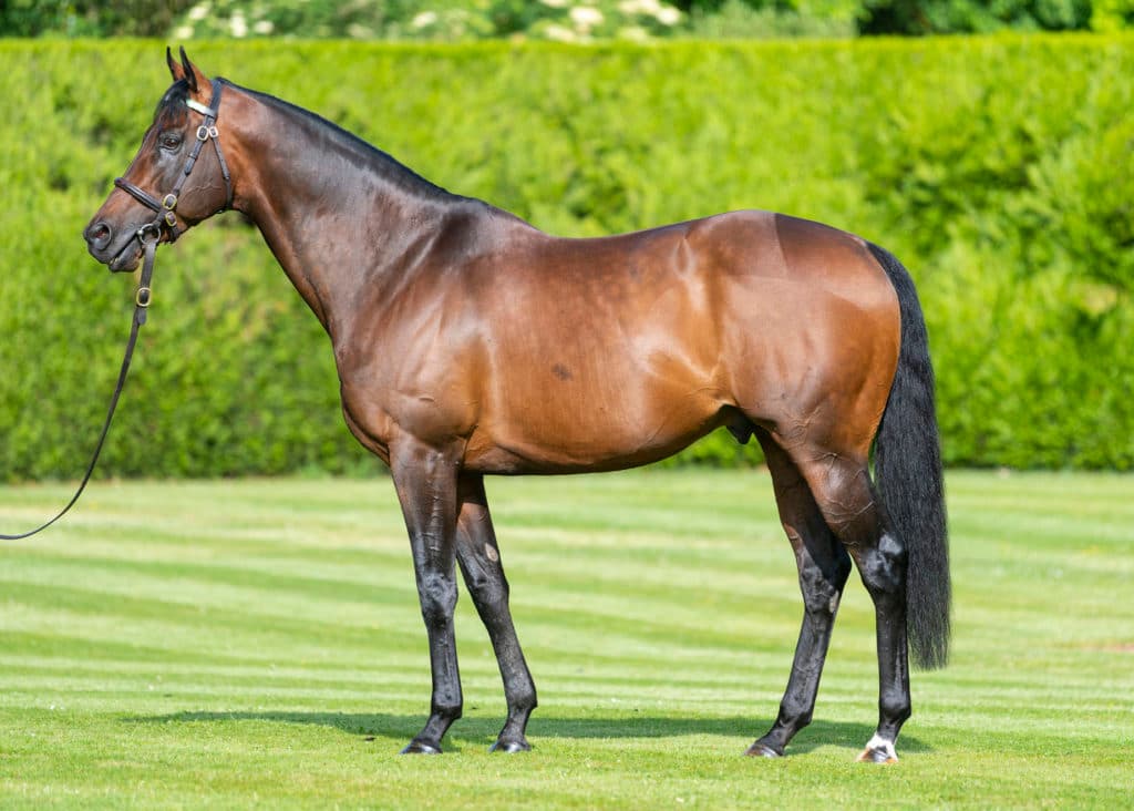 Banstead Manor Stud.  Juddmonte Farms, England.  Wednesday 5 June 2019.