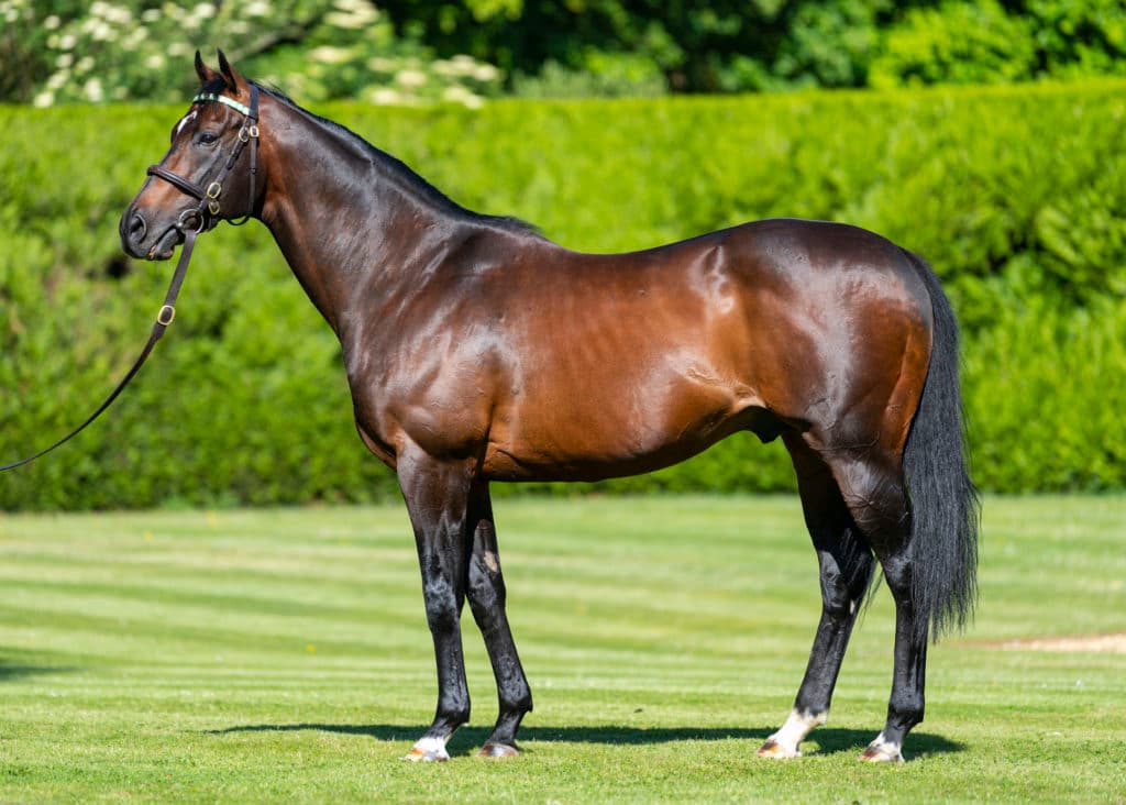 Banstead Manor Stud.  Juddmonte Farms, England.  Thursday 6 June 2019.