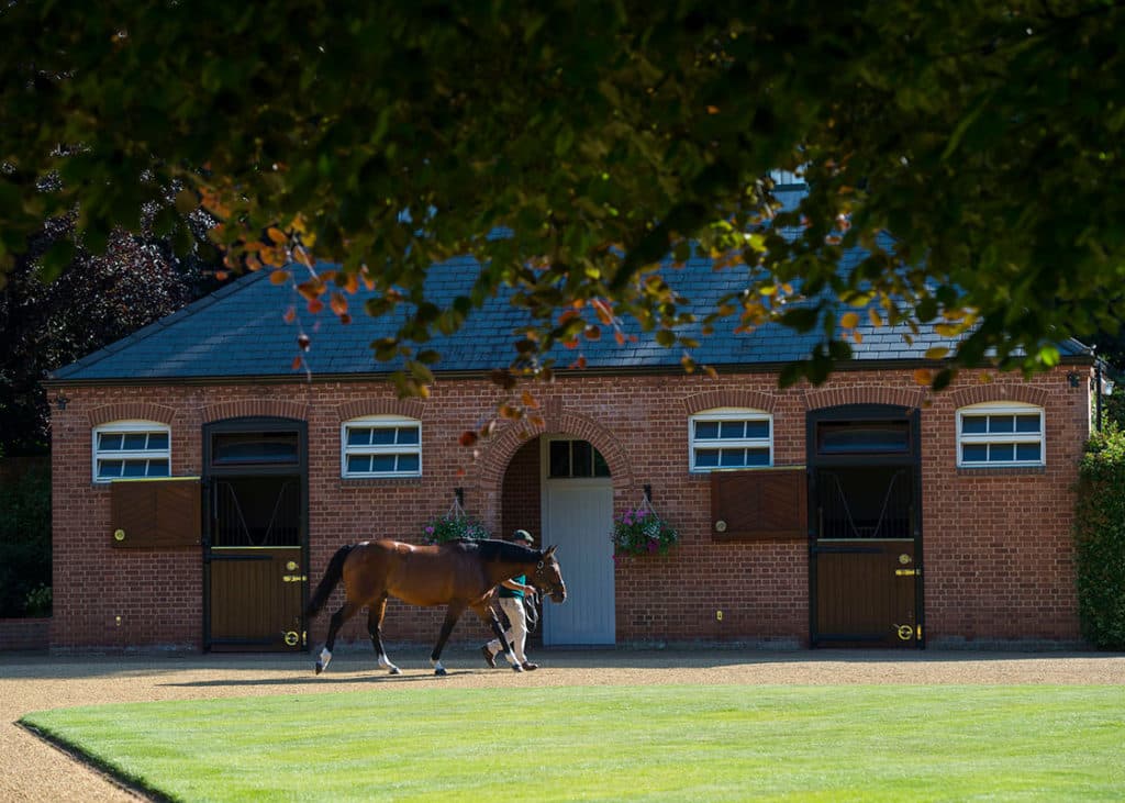 Frankel-Yard-2017