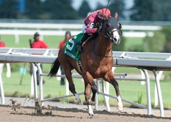 Mr-Ritz-Seagram-Stakes