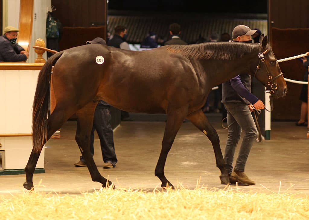 Lot 1301 TBK2 6652 ©Tattersalls