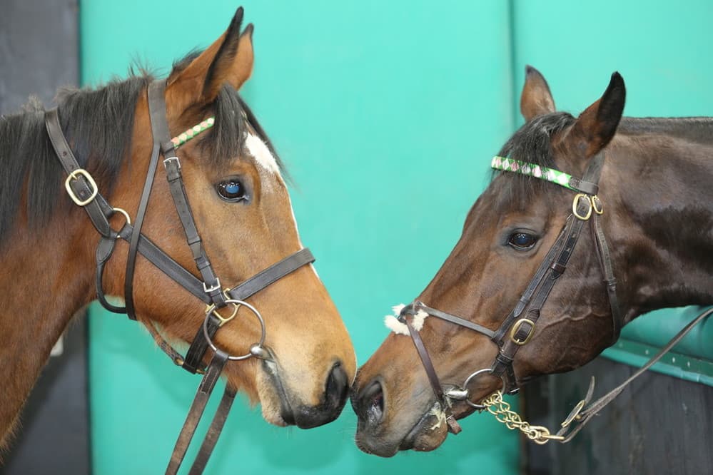 Kingman and Enable