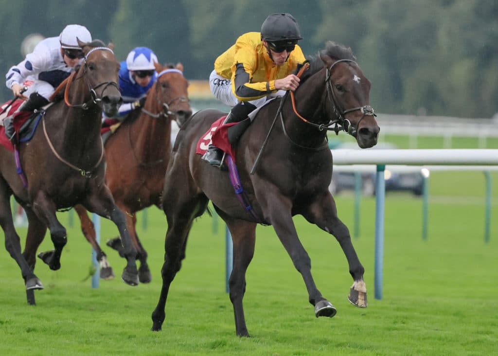 HORSE RACING