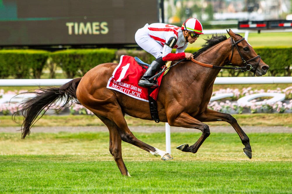 Horse Racing 2022: Belmont Derby Stakes Day JUL 02