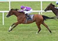 CURRAGH