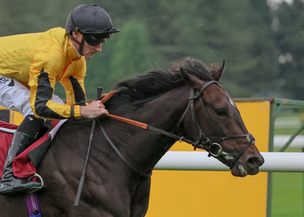 HORSE RACING