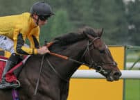HORSE RACING