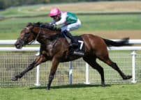 Goodwood 2.8.24