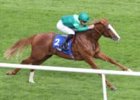 LEOPARDSTOWN
