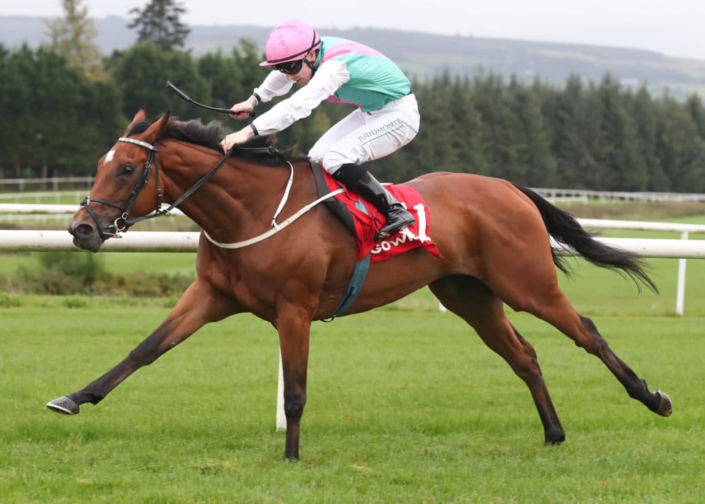 GOWRAN PARK