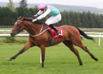 GOWRAN PARK