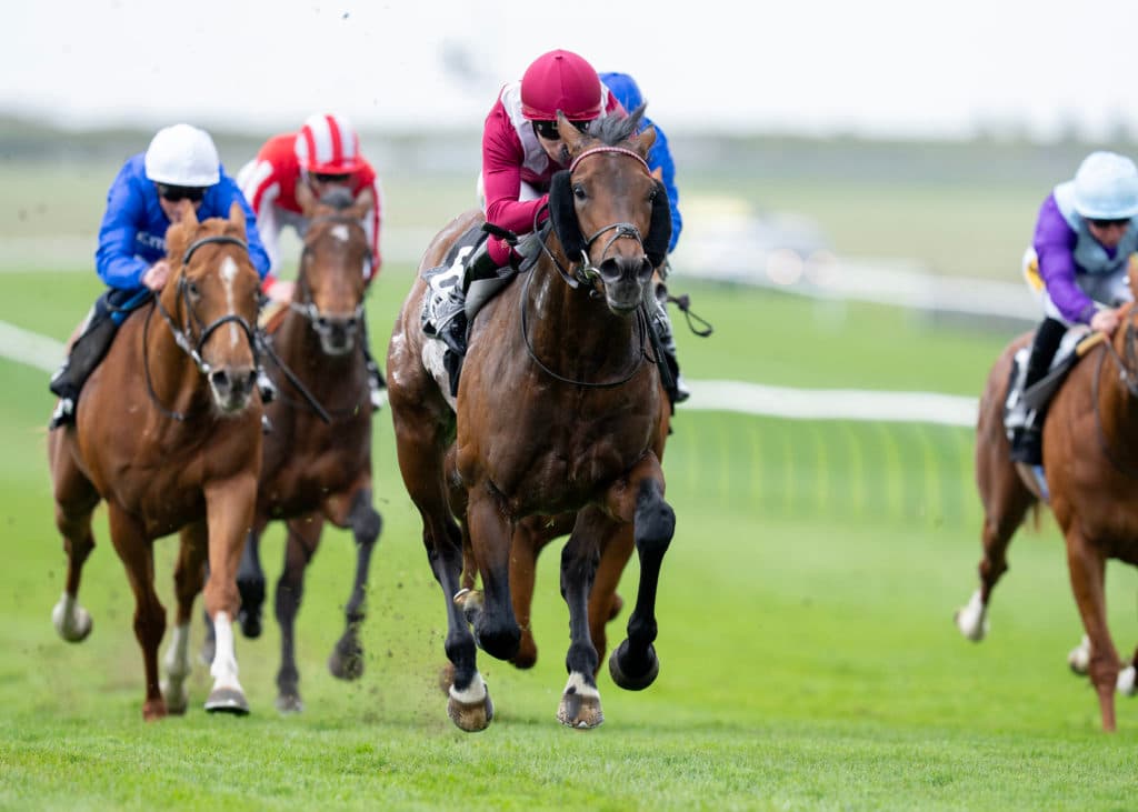 Newmarket 16.4.26