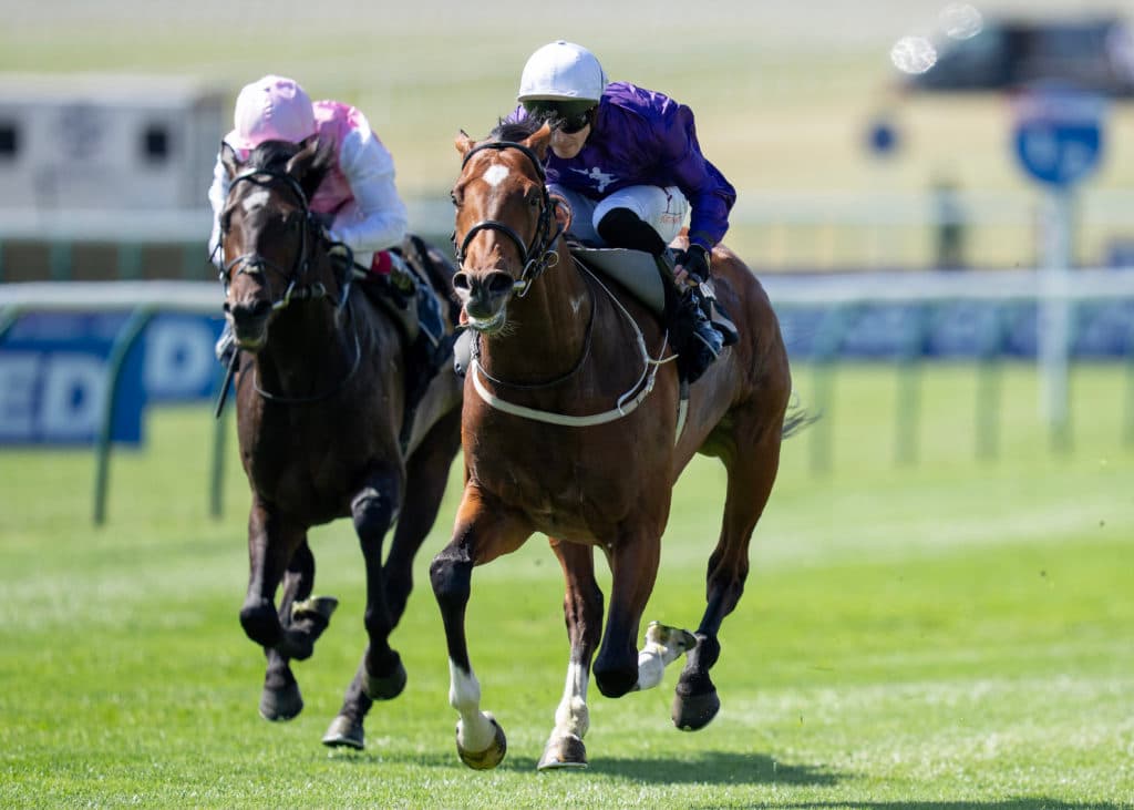 Newmarket 1.5.26
