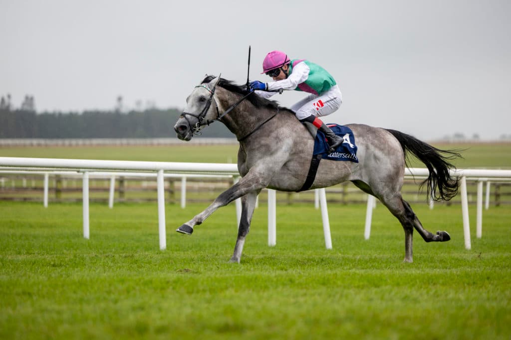 Field Of Gold winning the Irish 2,000 Guineas