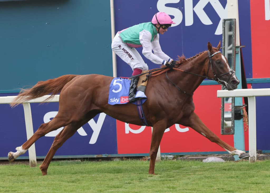 Horse Racing at York Racecourse