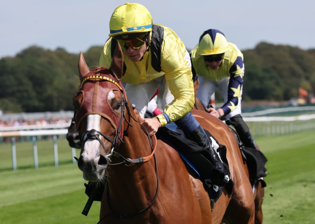 HORSE RACING - HAYDOCK PARK