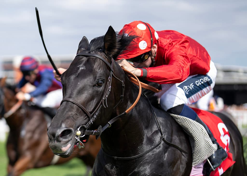 Newbury 15.8.26