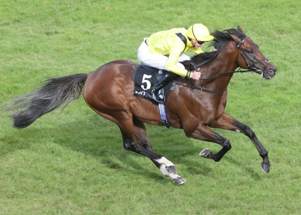 LEOPARDSTOWN