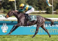 racingfotos_101327795566-crop