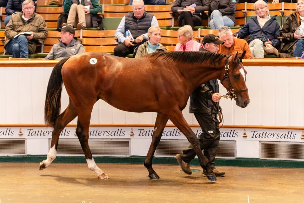 Lot 237 TBk1 174©Tattersalls