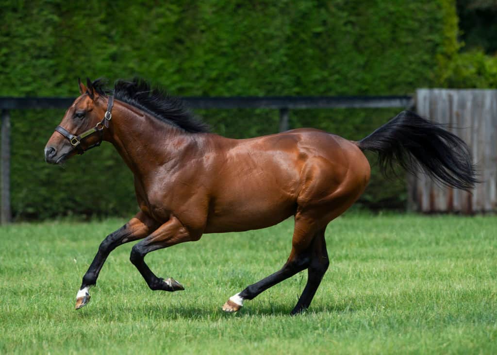 Banstead Manor Stud.  Juddmonte Farms, England.  Monday 2 June 2019.