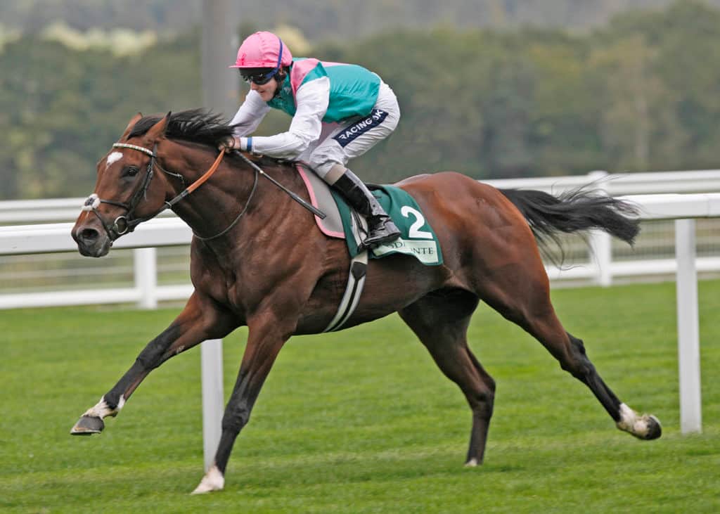 Frankel-Royal-Lodge