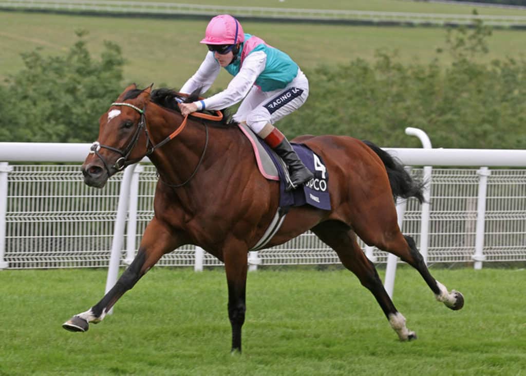 Frankel-Sussex-2011