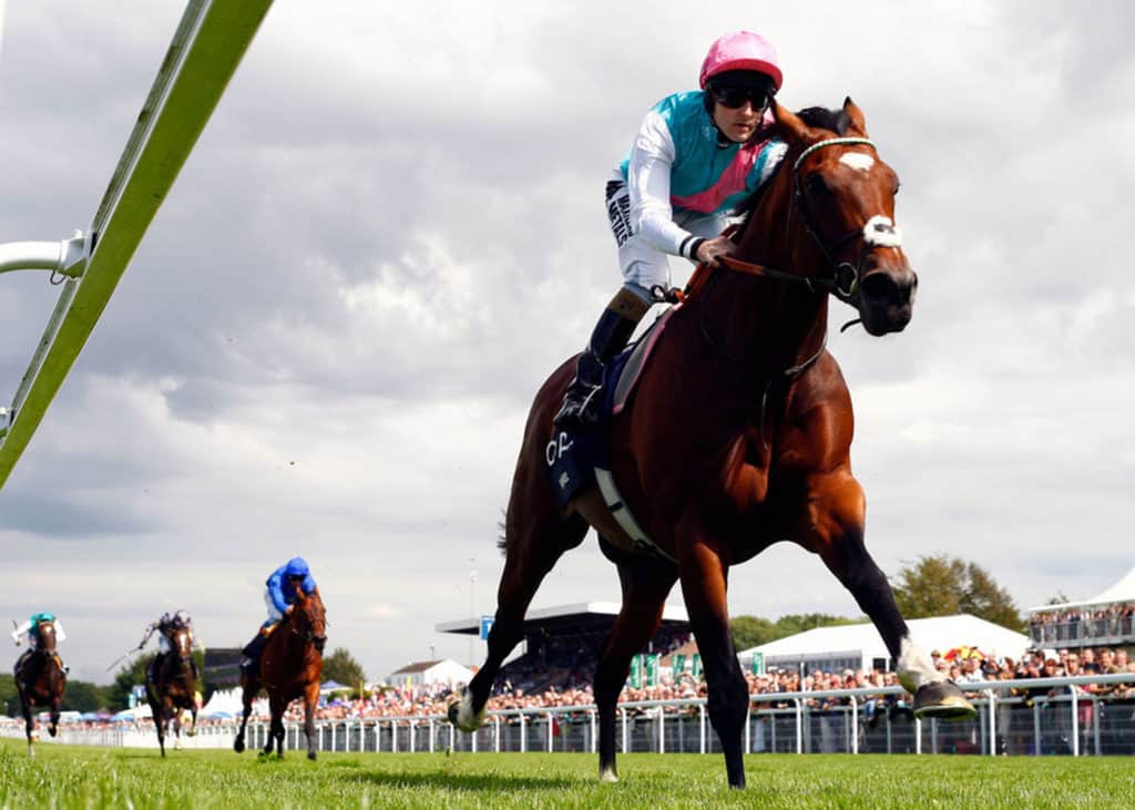 Frankel-Sussex-2012