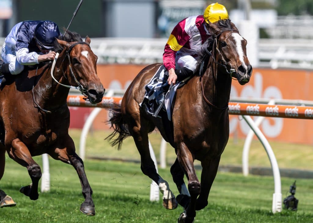 Zipping Classic Day at Caulfield Racecourse.