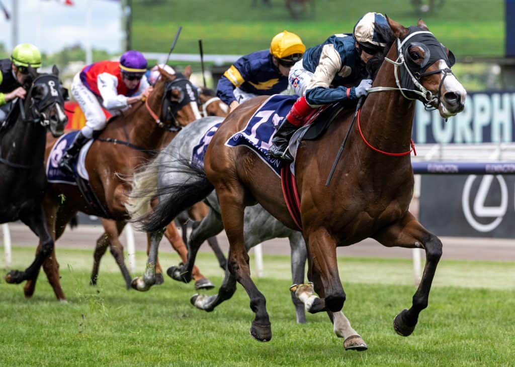 Champion Stakes Day at Flemington Racecourse.