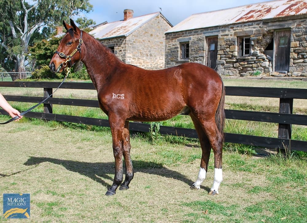 190716 a3300646-1907-45b8-b382-4788aa65d8da