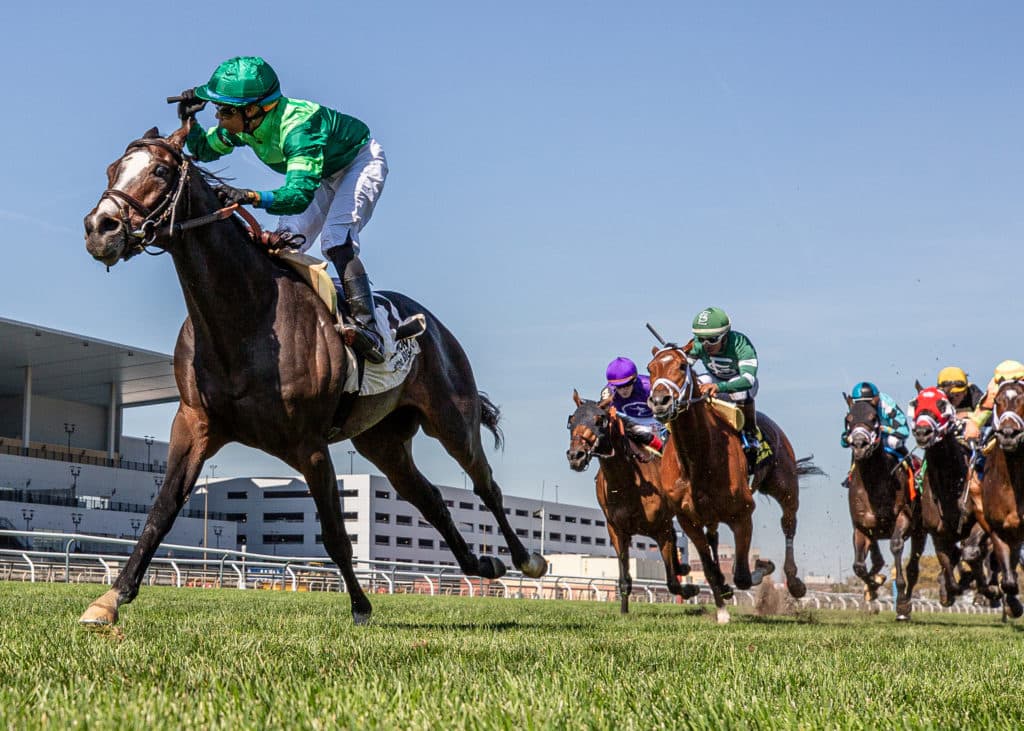 Horse Racing 2025: Champagne Stakes Day Aqueduct OCT 04