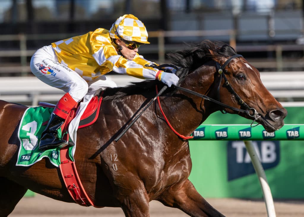 Turnbull Stakes Day at Flemington Racecourse