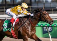 Turnbull Stakes Day at Flemington Racecourse